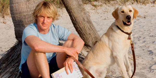 Owen Wilson