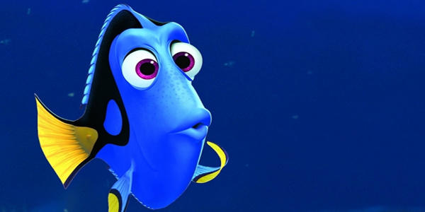 Dory