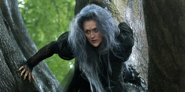 INTO THE WOODS