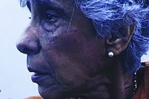 Uma Familia Ilustre Beth Formaggini Curta Taquary